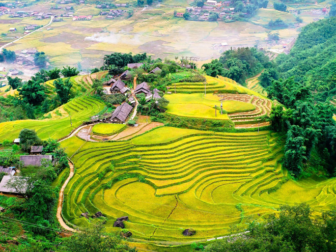 ハノイ発 ムーカンチャイ&サパ2泊3日 (ホームステイ)